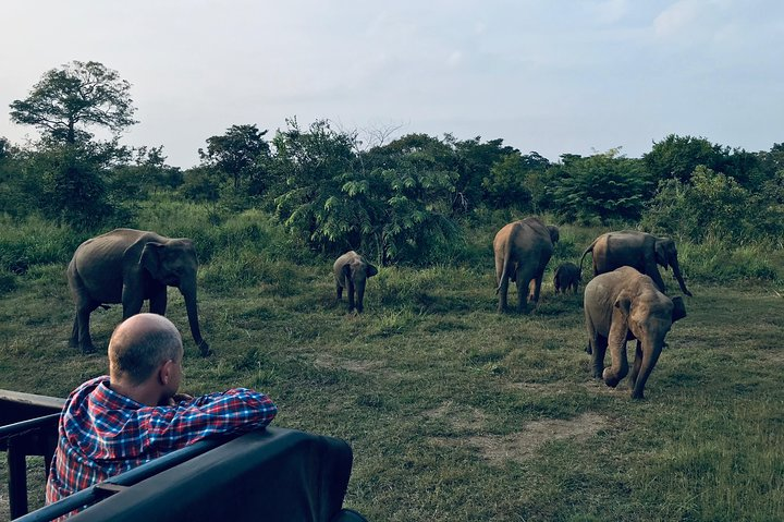 Half Day safari In one of Kaudulla / Minneriya /Hurulu Park - Photo 1 of 3